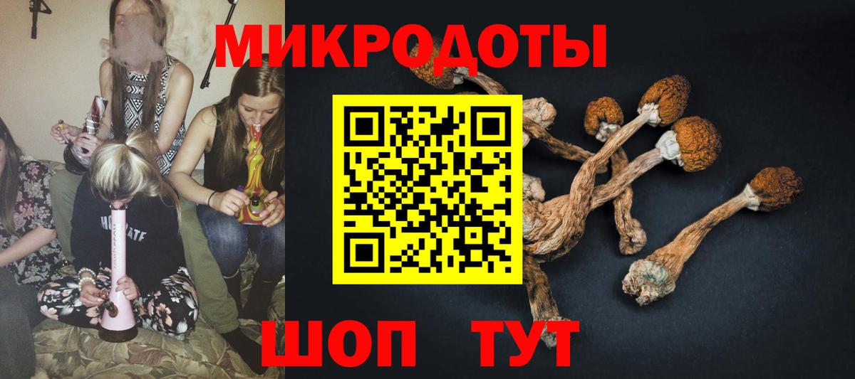 Псилоцибиновые грибы Psilocybine cubensis Солнечногорск